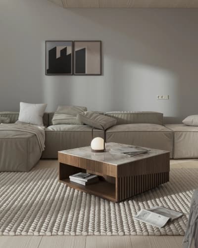 Luxury living room furniture setup